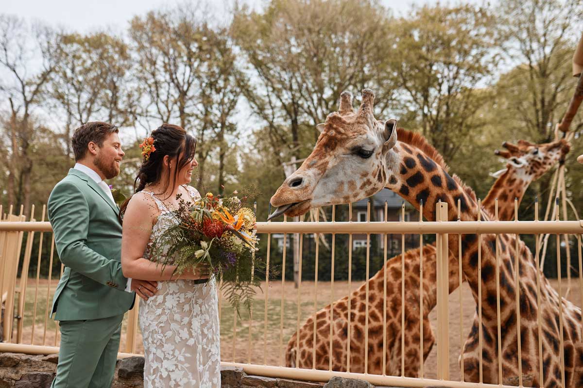 ouwehands_dierenpark_rhenen_trouwlocatie